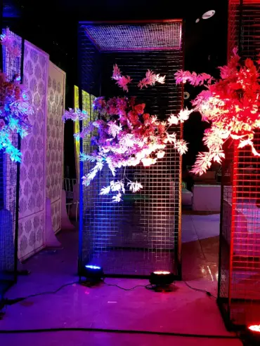 IMG_20230203_072949_587